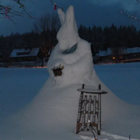 Appartement Hitzegrad